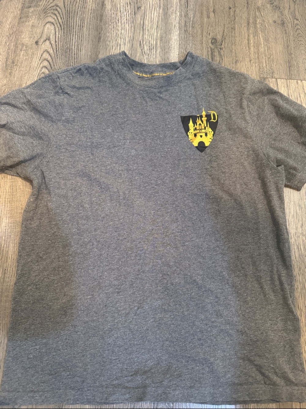 Official Disneyland Tshirt